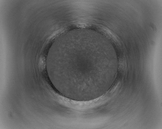 X0000110860043200906181150