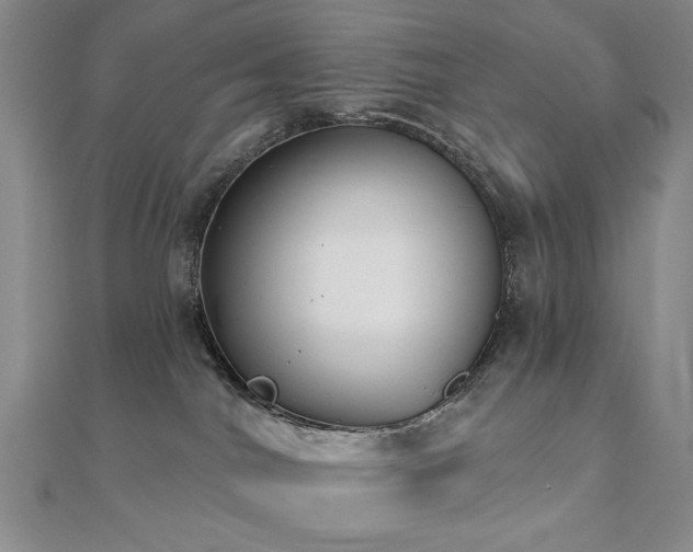 X0000110860044200906181150