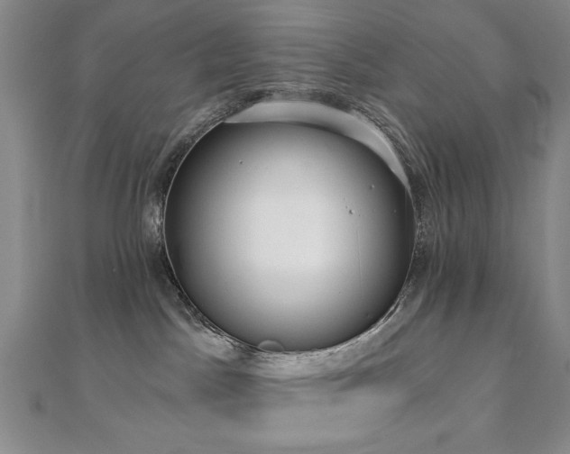 X0000110860045200906181150