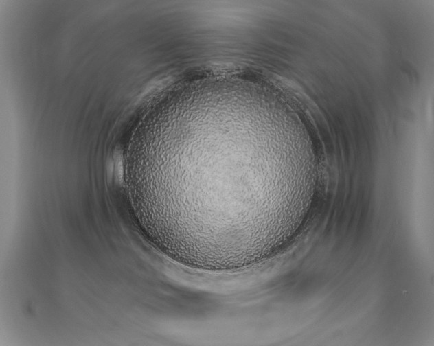 X0000110860046200906181150