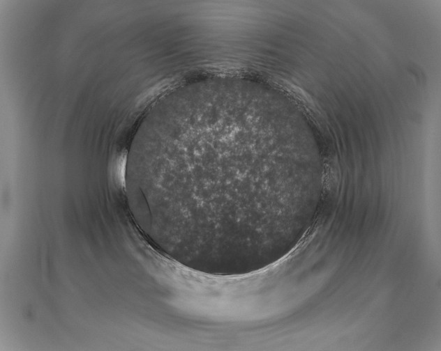 X0000110860047200906181150