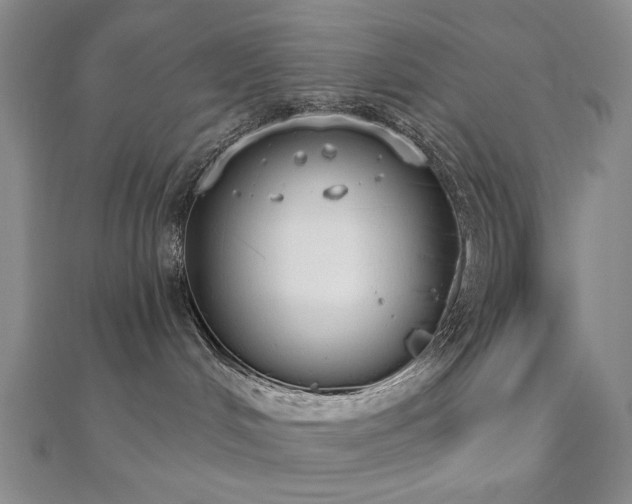 X0000110860048200906181150