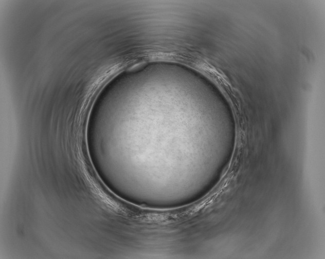 X0000110860049200906181150