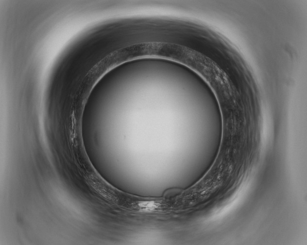 X0000110860050200906181150