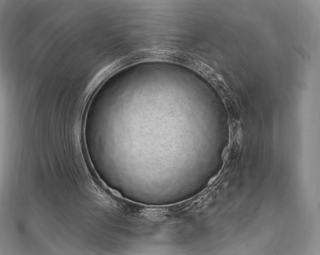 X0000110860051200906181150