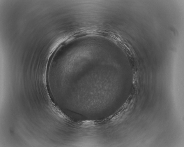 X0000110860052200906181150