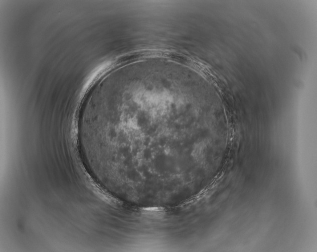 X0000110860053200906181150