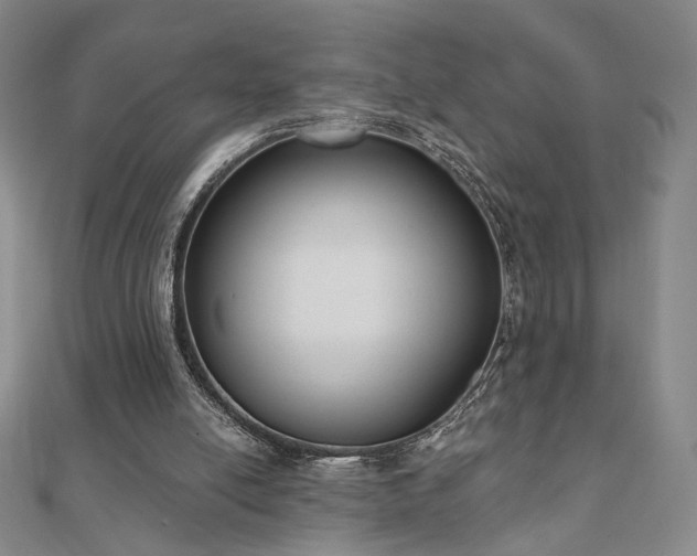 X0000110860054200906181150