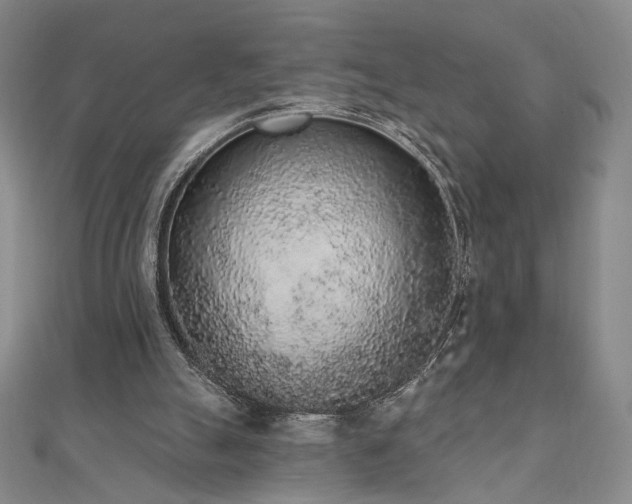 X0000110860055200906181150