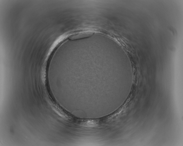 X0000110860056200906181150