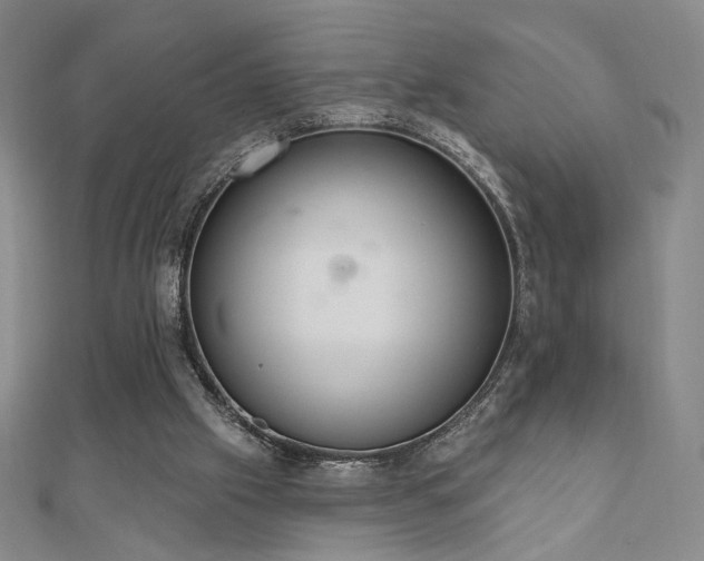 X0000110860057200906181150