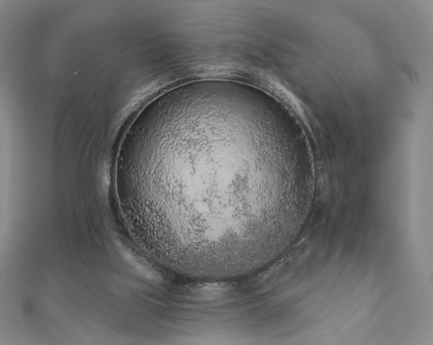 X0000110860059200906181150