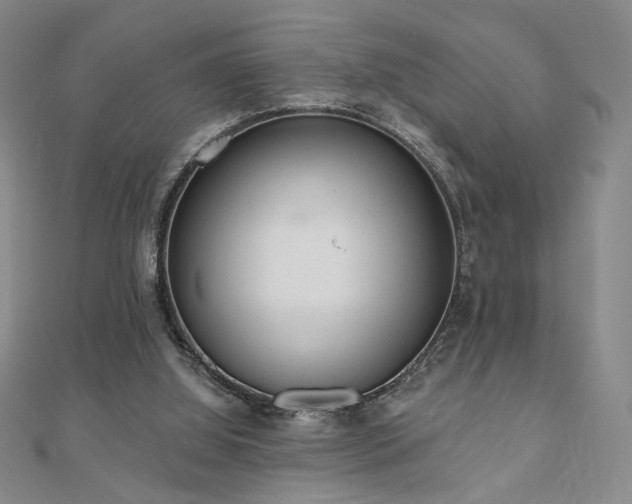 X0000110860060200906181150