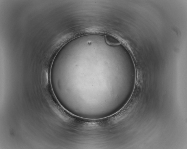 X0000110860061200906181150