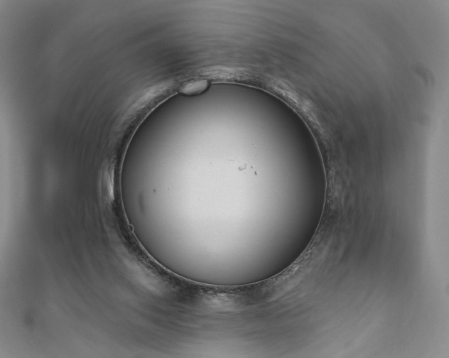 X0000110860062200906181150