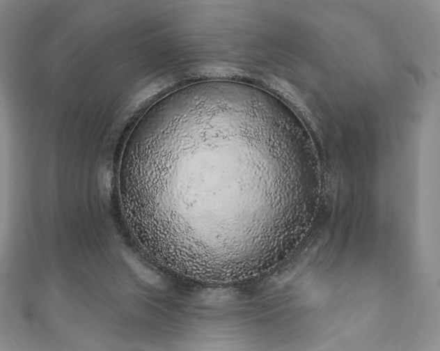 X0000110860063200906181150