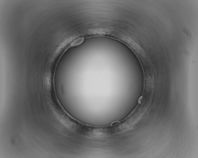 X0000110860064200906181150