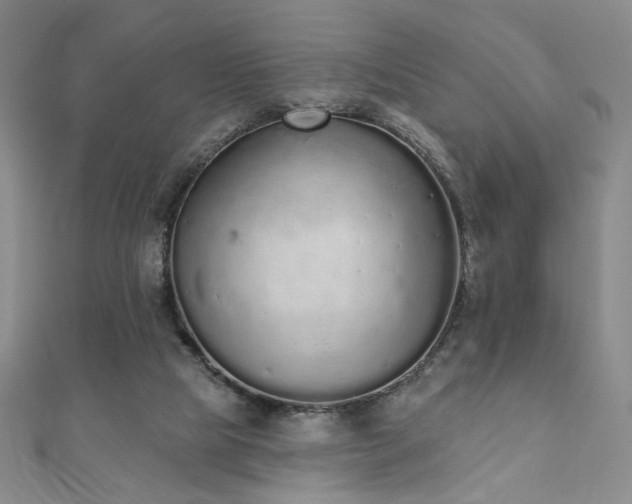 X0000110860065200906181150