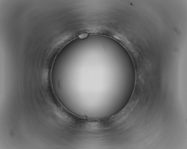 X0000110860066200906181150