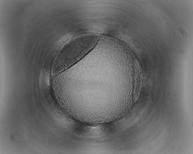 X0000110860068200906181150