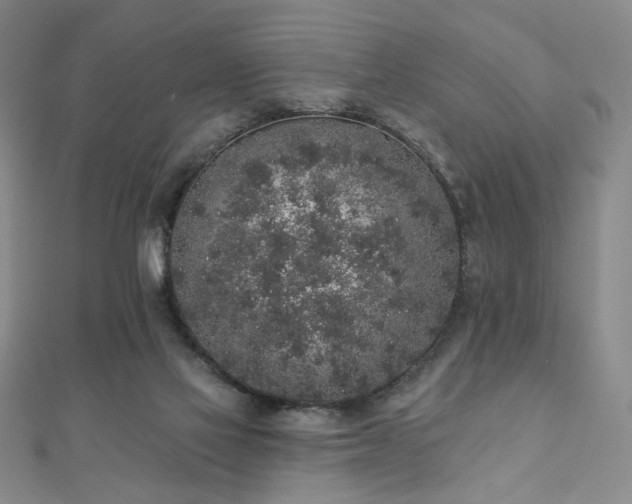 X0000110860069200906181150