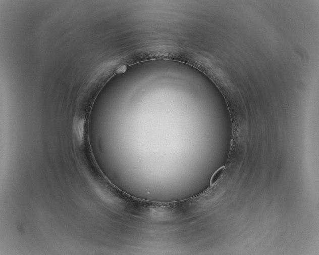 X0000110860070200906181150