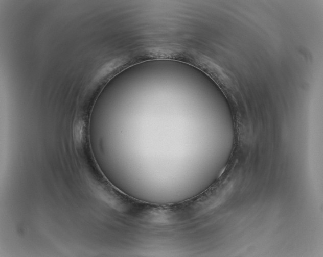 X0000110860071200906181150