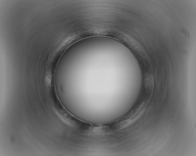 X0000110860072200906181150