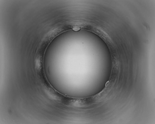 X0000110860074200906181150