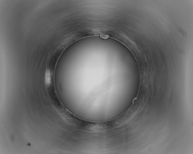 X0000110860075200906181150