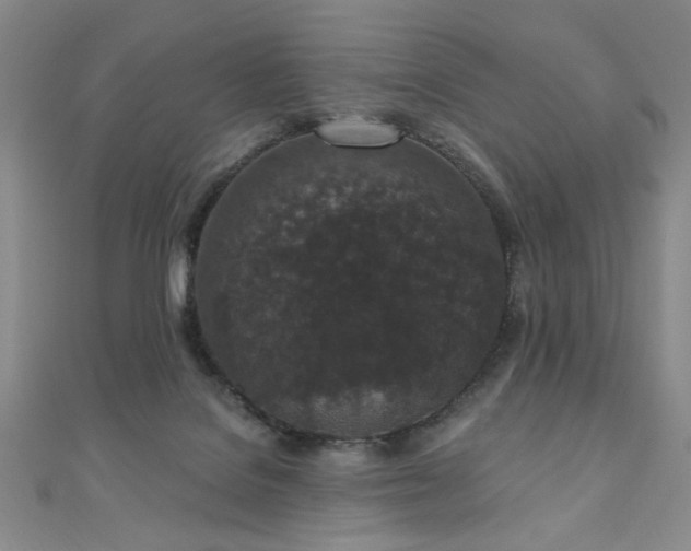 X0000110860076200906181150