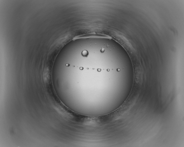 X0000110860077200906181150