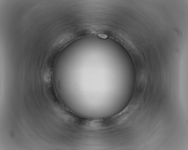 X0000110860078200906181150