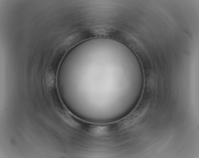 X0000110860081200906181150