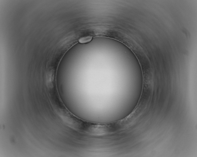 X0000110860082200906181150