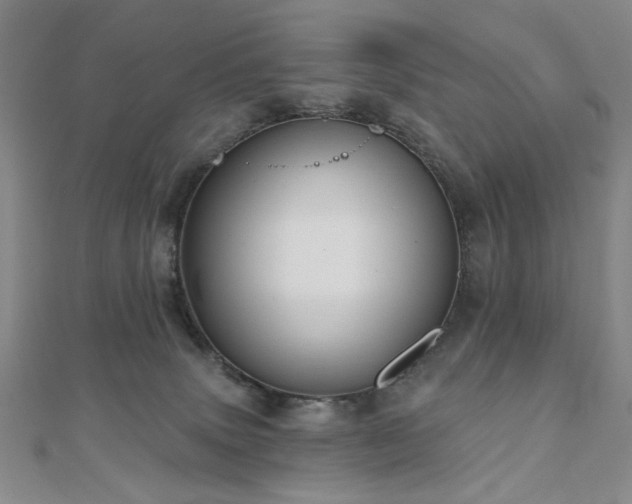 X0000110860083200906181150