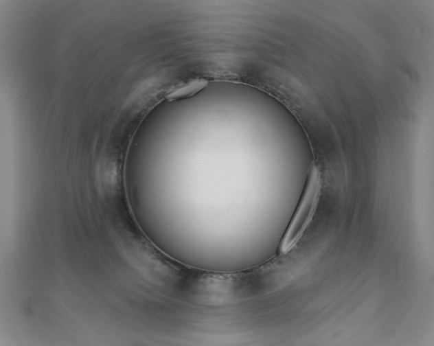 X0000110860084200906181150