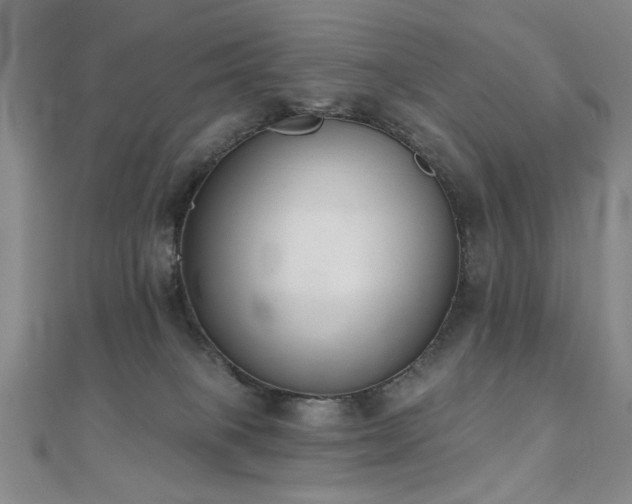 X0000110860085200906181150