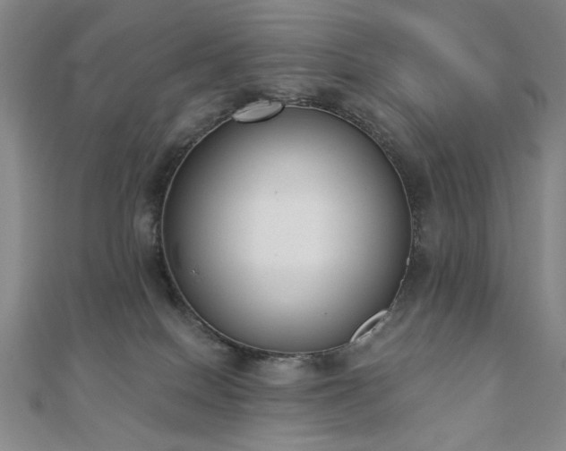 X0000110860086200906181150