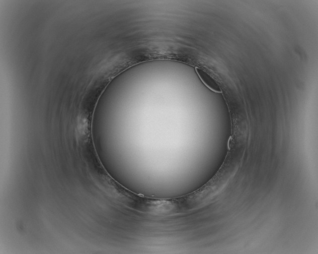 X0000110860087200906181150