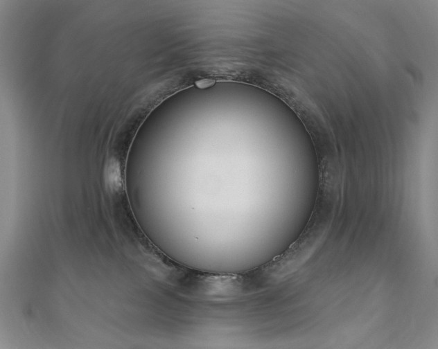 X0000110860089200906181150