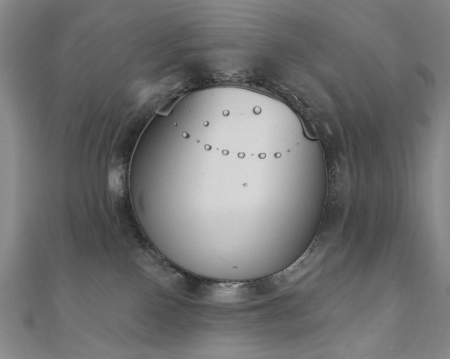 X0000110860090200906181150