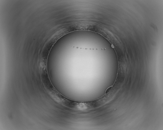 X0000110860091200906181150