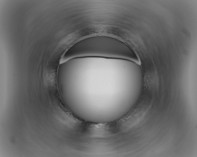 X0000110860092200906181150