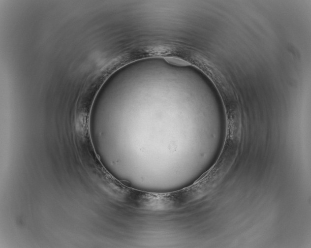 X0000110860093200906181150