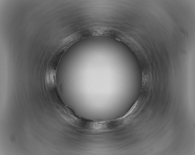 X0000110860094200906181150