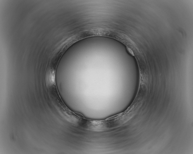 X0000110860095200906181150