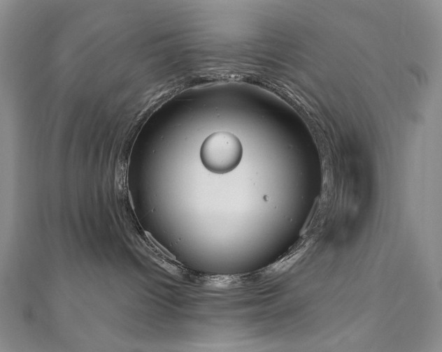 X0000110860096200906181150