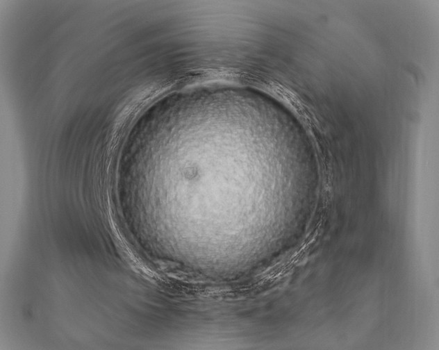 X0000110860097200906181150