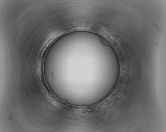 X0000110860098200906181150